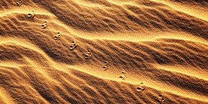 Пісок в нирках: симптоми і лікування