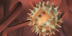 Вірус гепатиту С вражає печінку