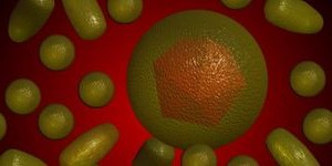 Що нового в лікуванні гепатиту С?