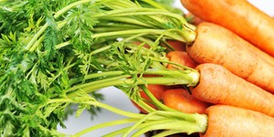 Морква і її корисні властивості